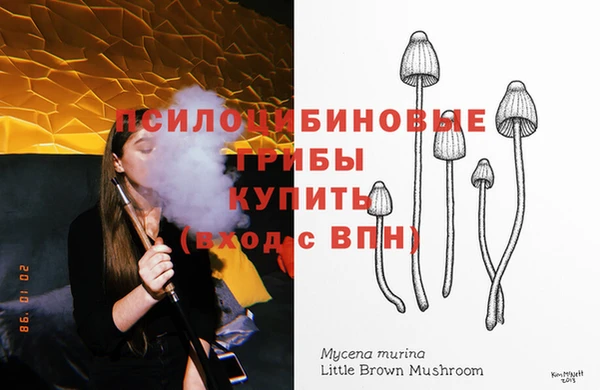 гашик Абинск