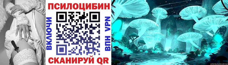 Галлюциногенные грибы Cubensis  хочу наркоту  Тайга 